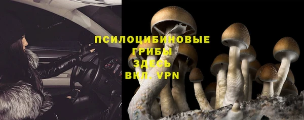 прущий лед Гусь-Хрустальный