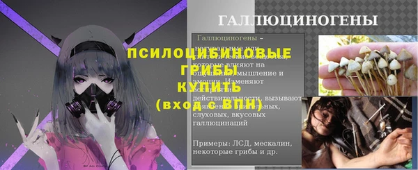 ешки Новый Уренгой